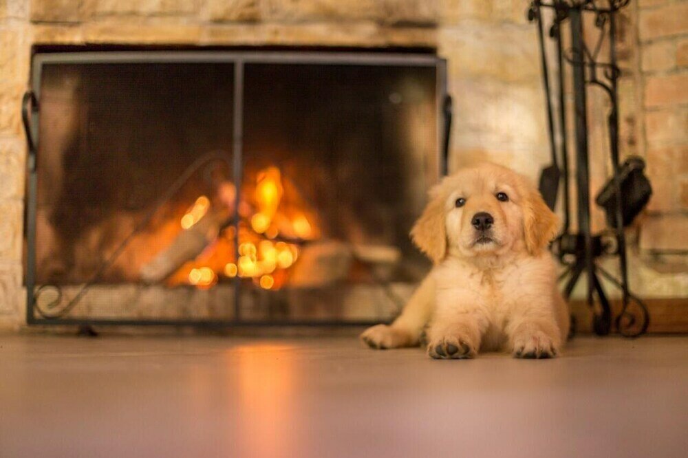 Фото Pousada irreplaceable