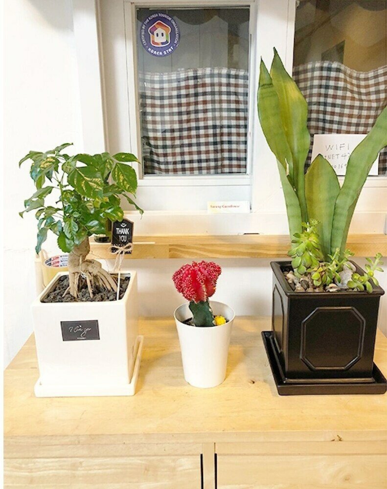 Фото Sarang Guesthouse Dongdaemun