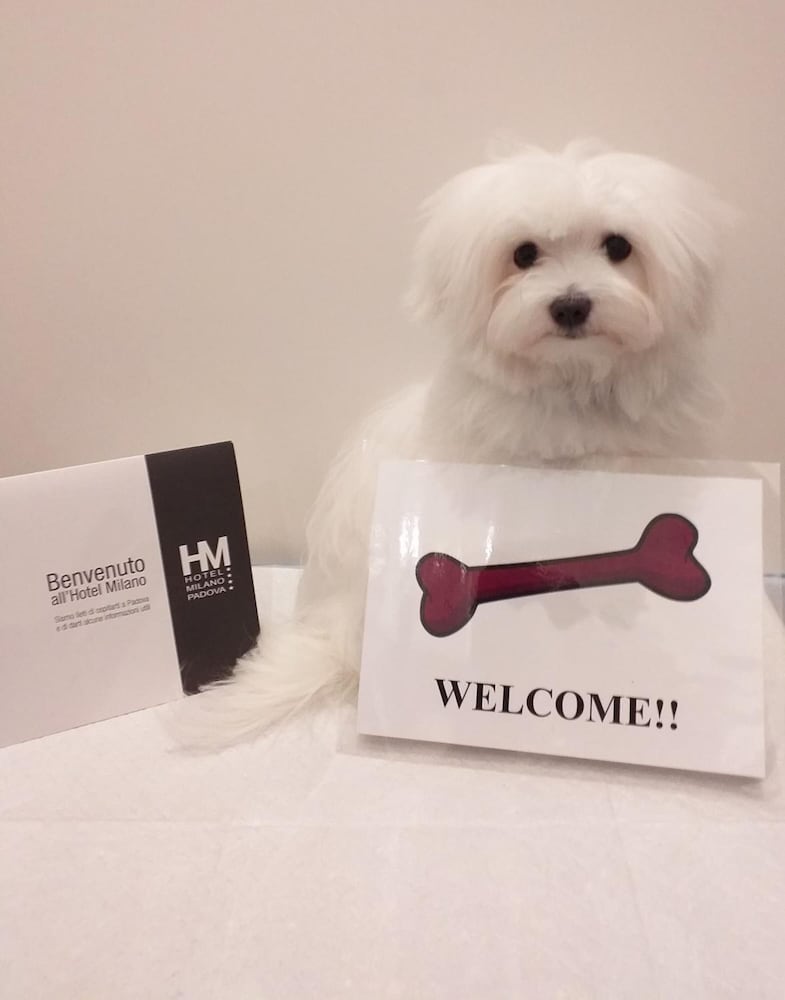 Фото Hotel Milano