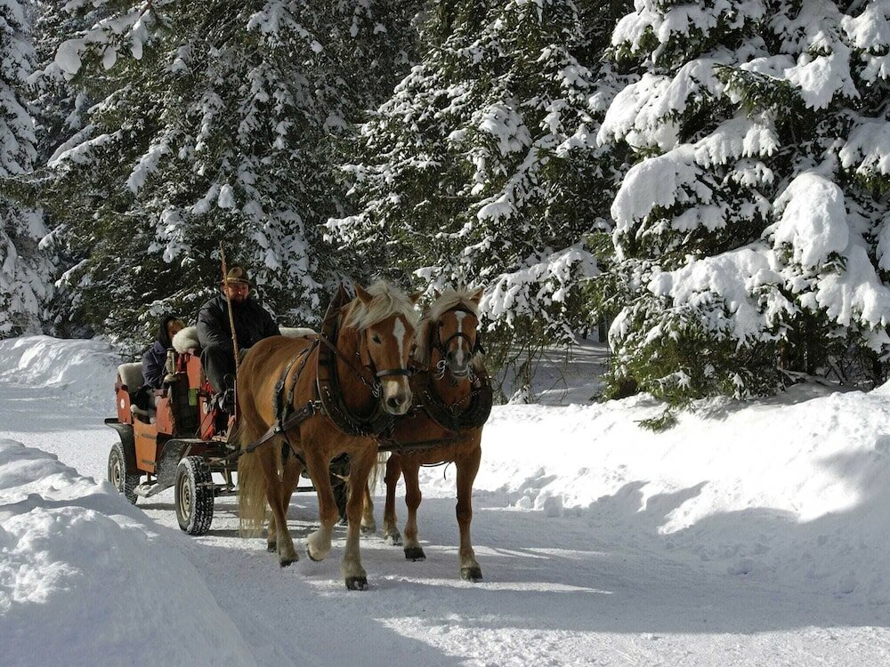Фото Ravishing Apartment in Seefeld in Tirol With Infrared Sauna