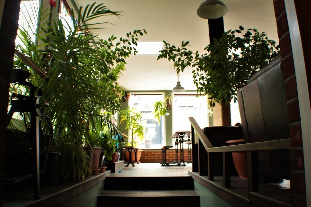 Фото Palmers Lodge Swiss Cottage