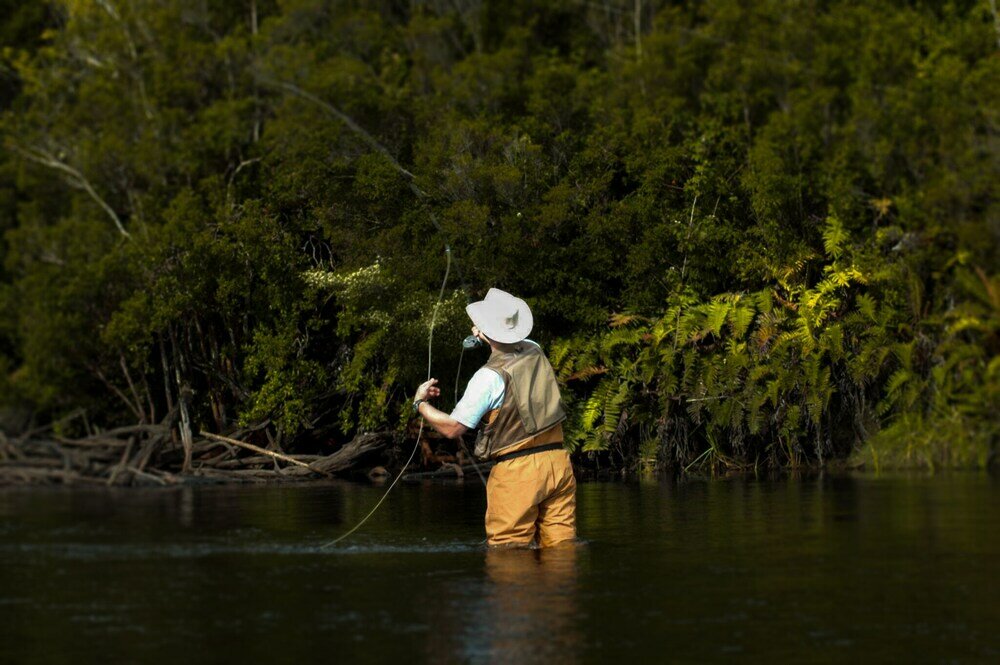 Фото Hotel Parque Tepuhueico