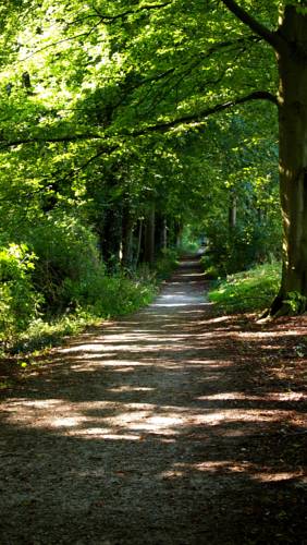 Фото Station Amstelveen Bed and Breakfast