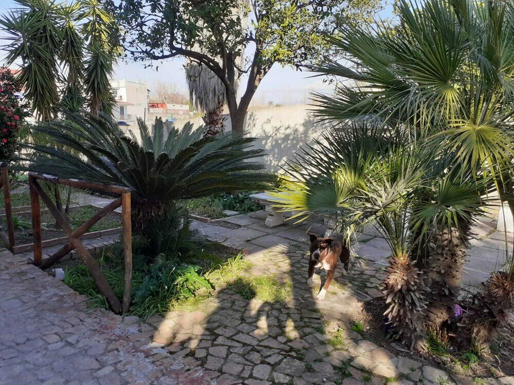 Фото Villa Teresa