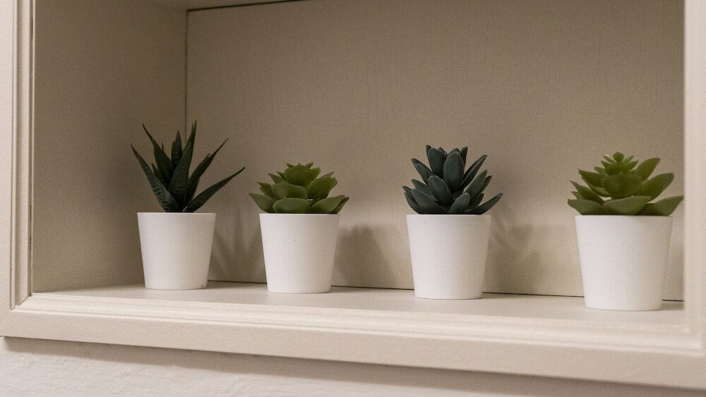 Фото Castiglione 49