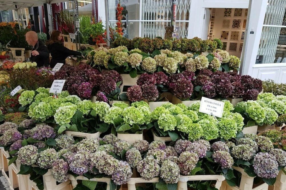 Фото Beautiful 1 Bedroom With Balcony Near Mile End