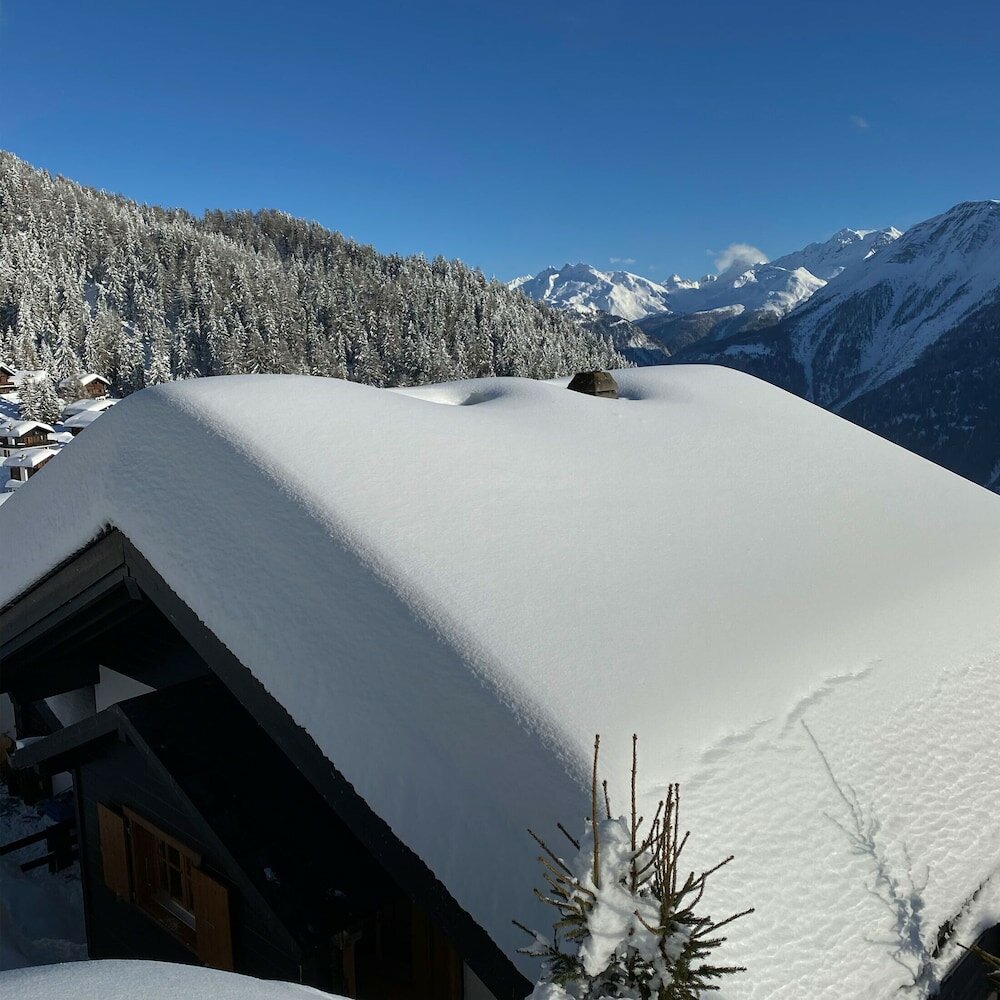 Фото Gunneheim Antares