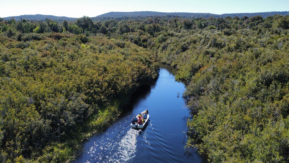 Фото Hotel Parque Tepuhueico