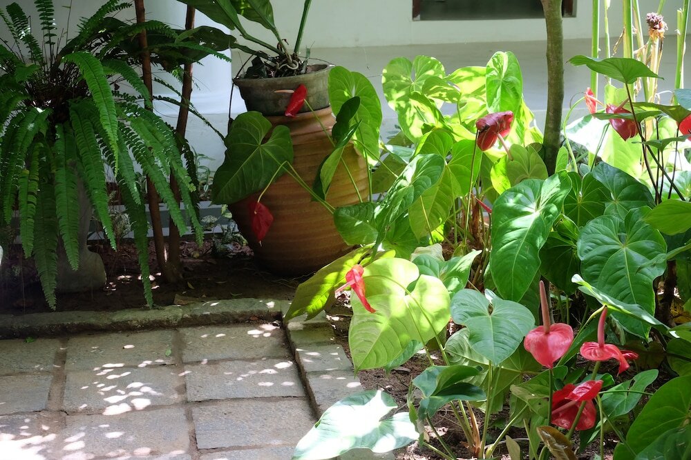 Фото Orchard House