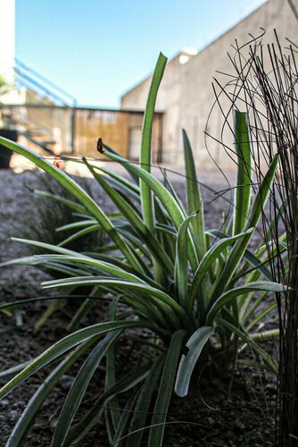 Гостиница Suites Isla Verde в Ла-Риоха