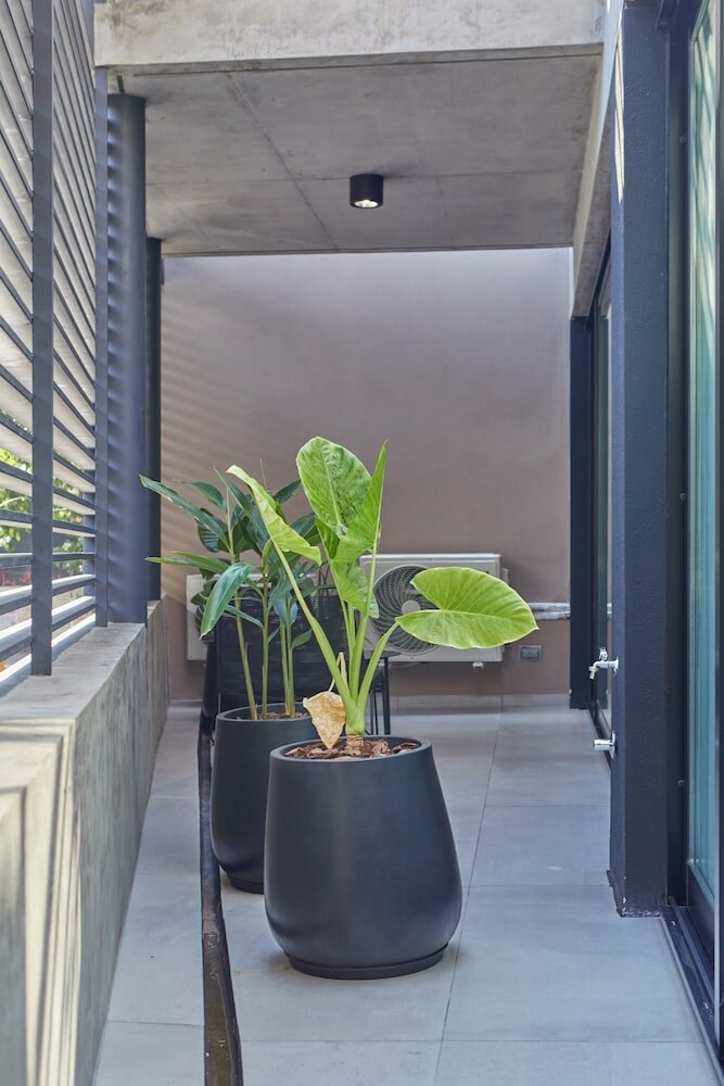 Фото Palermo Soho Lofts at Cabrer