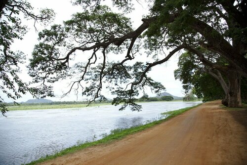 Гостиница Naturehawks Safari Villa Yala