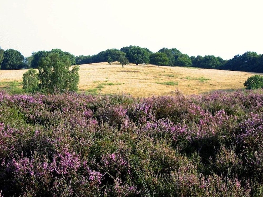 Фото Van der Valk Hotel De Molenhoek-Nijmegen