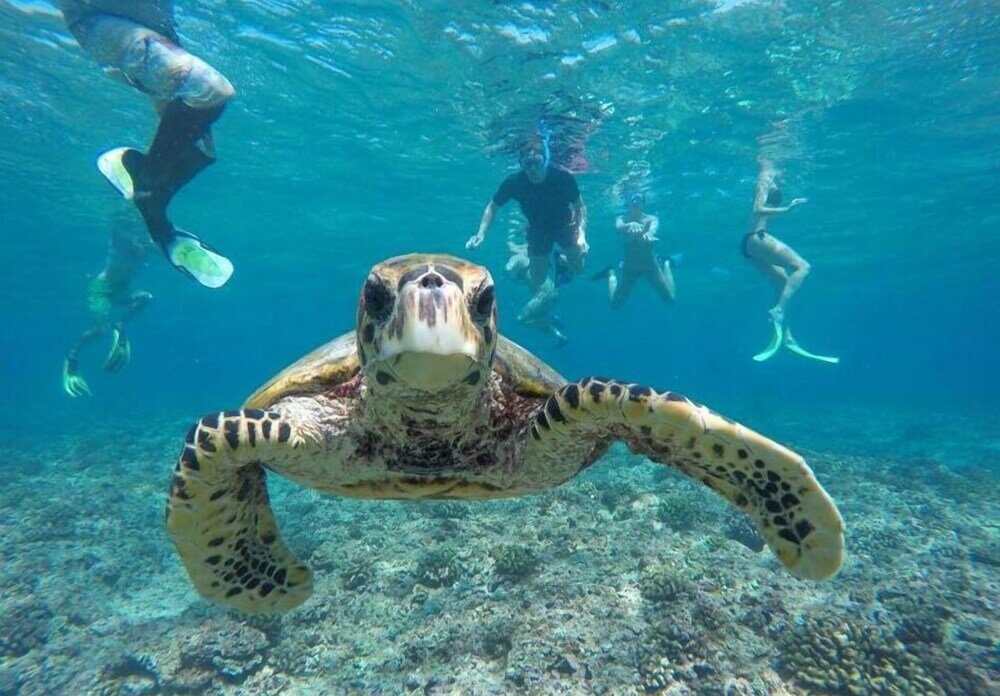 Фото Ahola Thoddoo