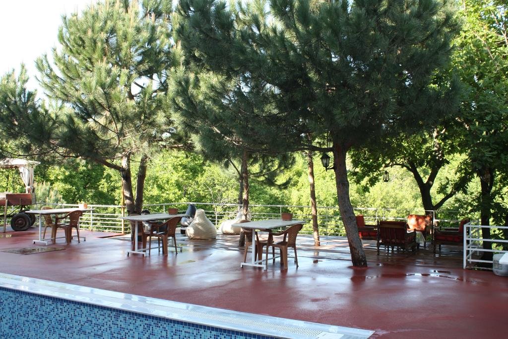 Фото Kaltur Boutique Hotel