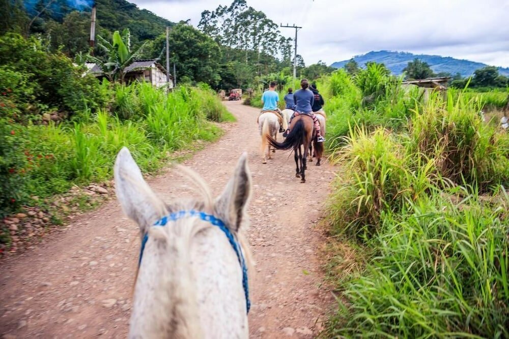 Фото Pousada Chalés Vale do Rio do Boi