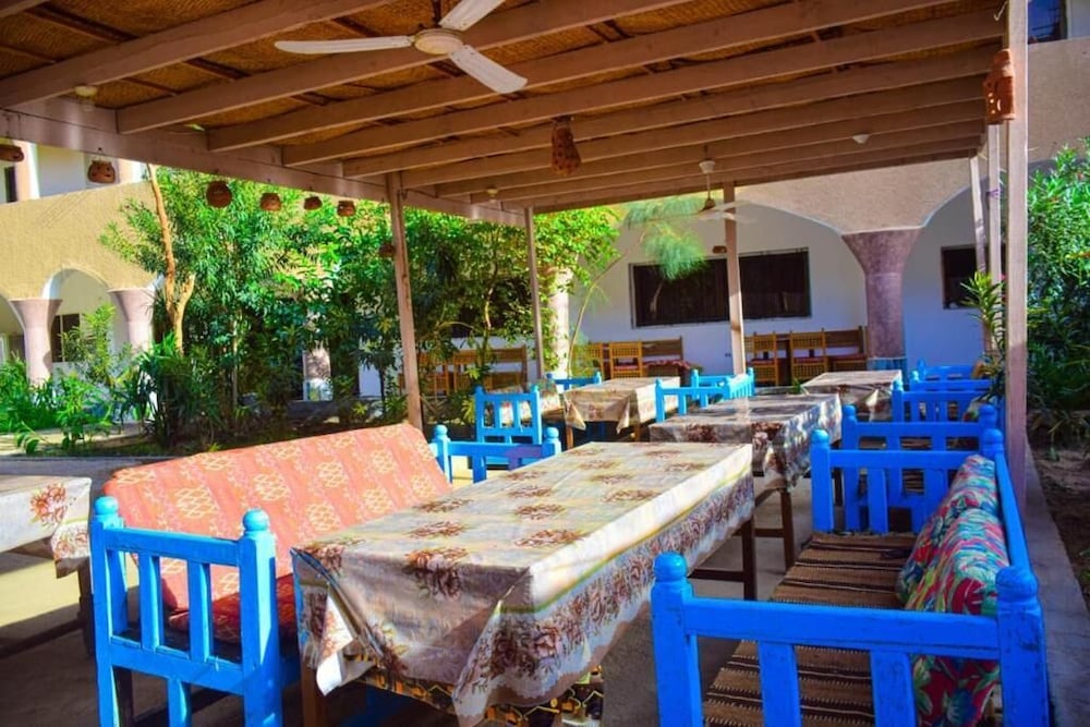 Фото Pharaonic Rose