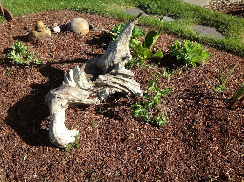 Фото Tyee Lodge Oceanfront B&b