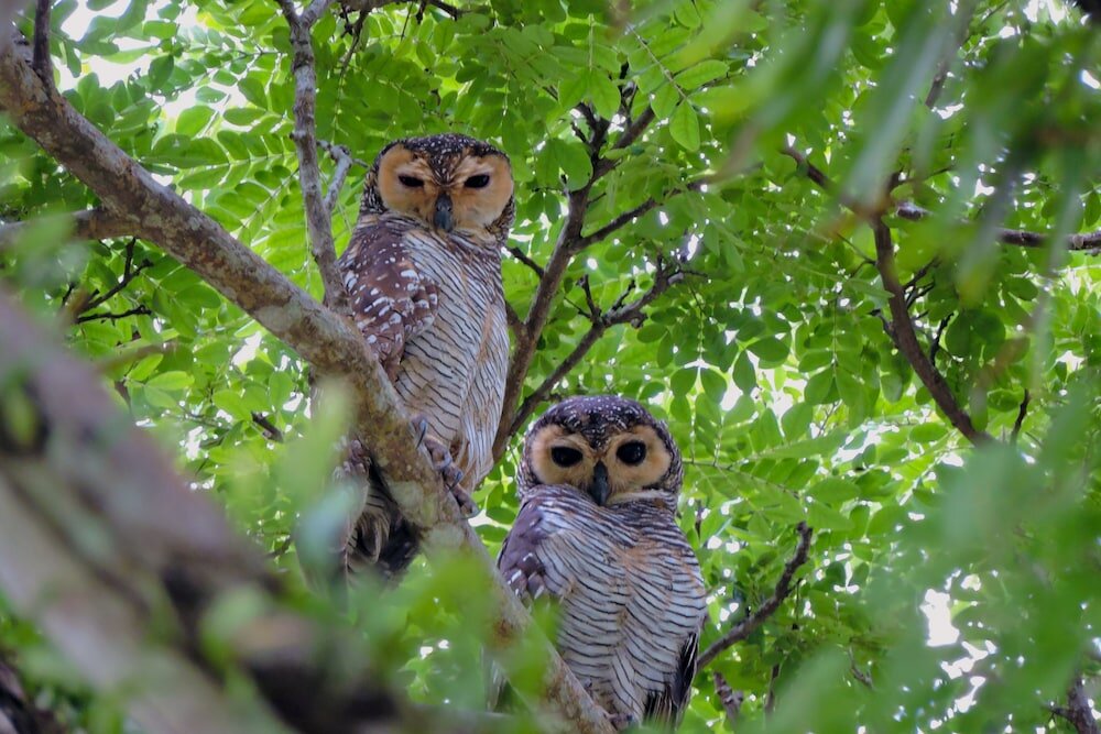 Фото ThaiLife Wellness & Meditation Resort