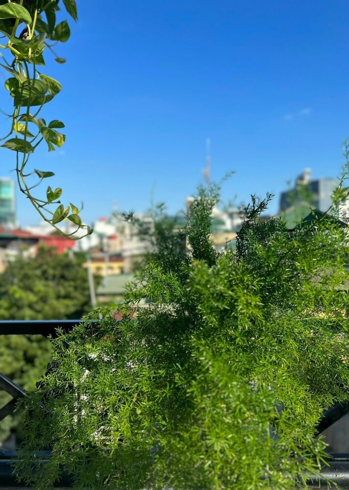 Фото Lanha Hotel-Homestay