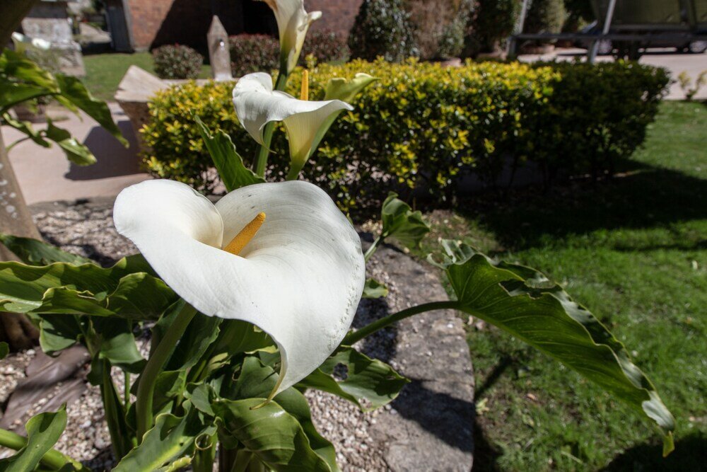Фото Casa Rural AS Bentinas
