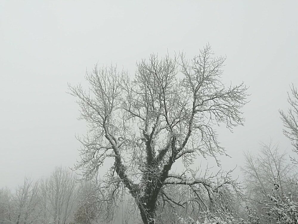 Фото Hotel Santuario Urkiola