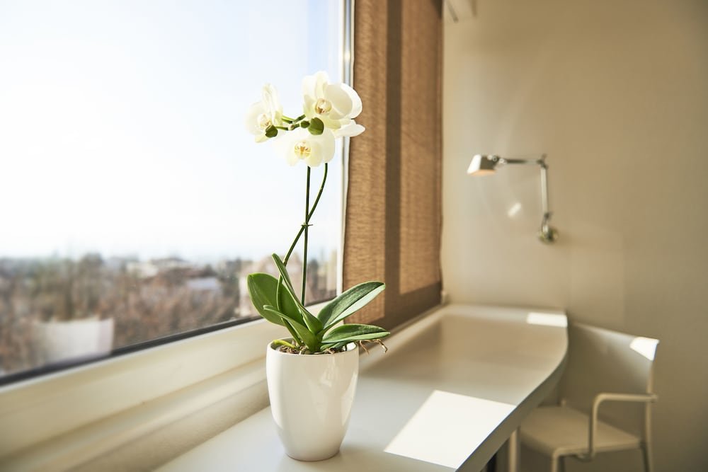 Фото Le Leman Hotel