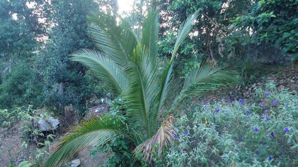 Фото Resort Beam