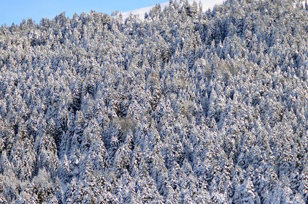 Фото Bof Hotel Uludağ Ski & Luxury Resort