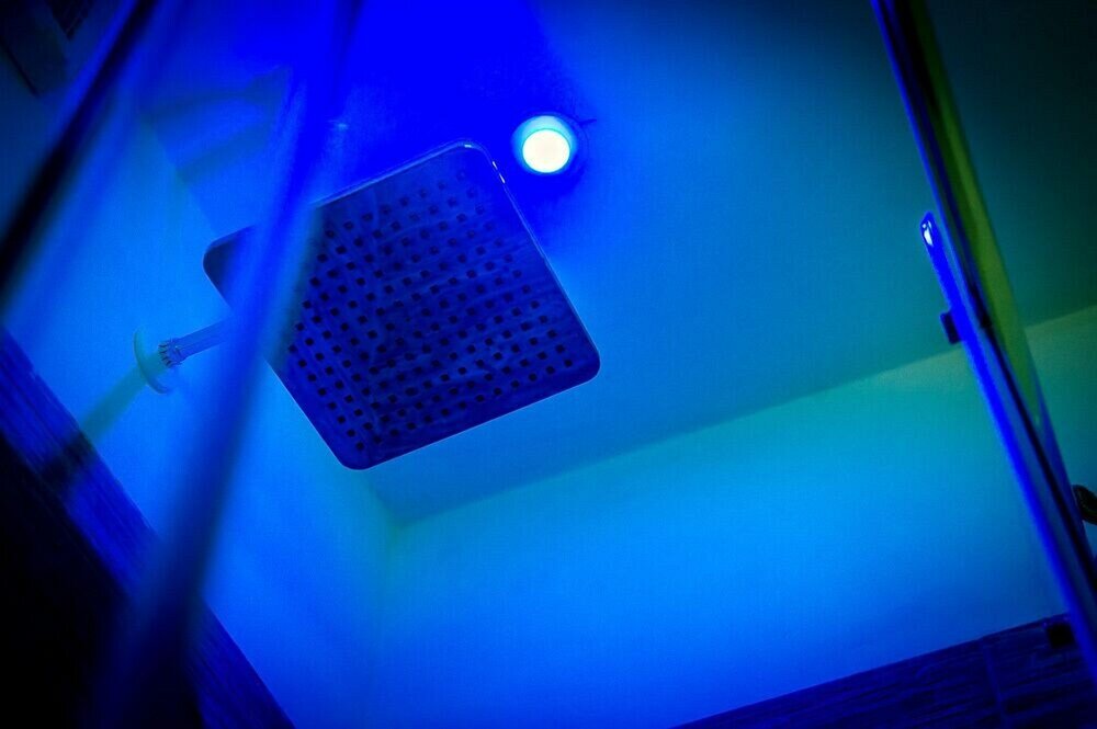 Фото Mr. Charlie Brown