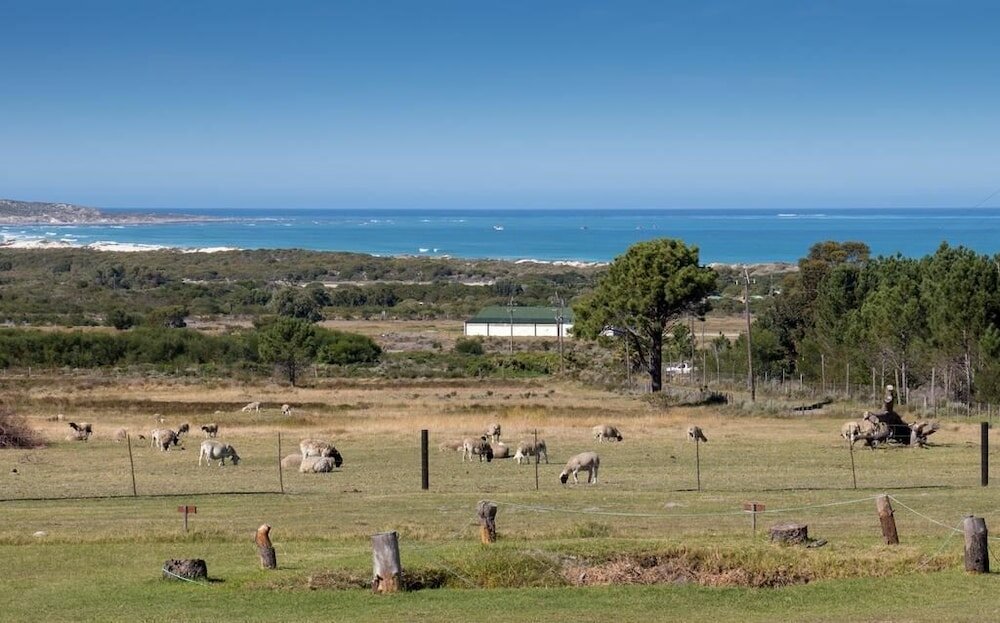 Фото Groeneweide