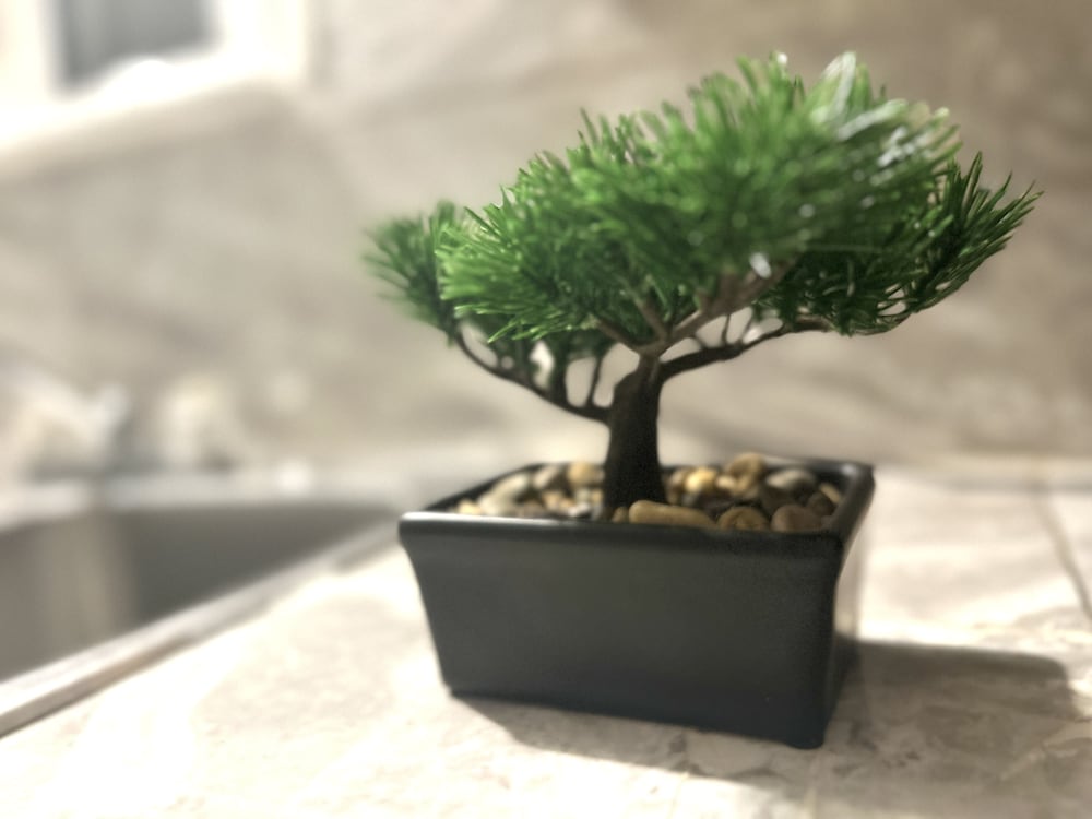 Фото Housing Albert