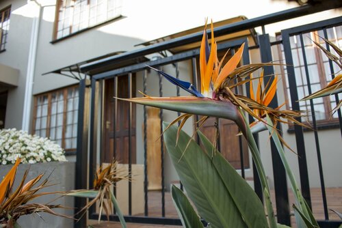 Гостиница Ruth Avenue Guest House в Эденвале
