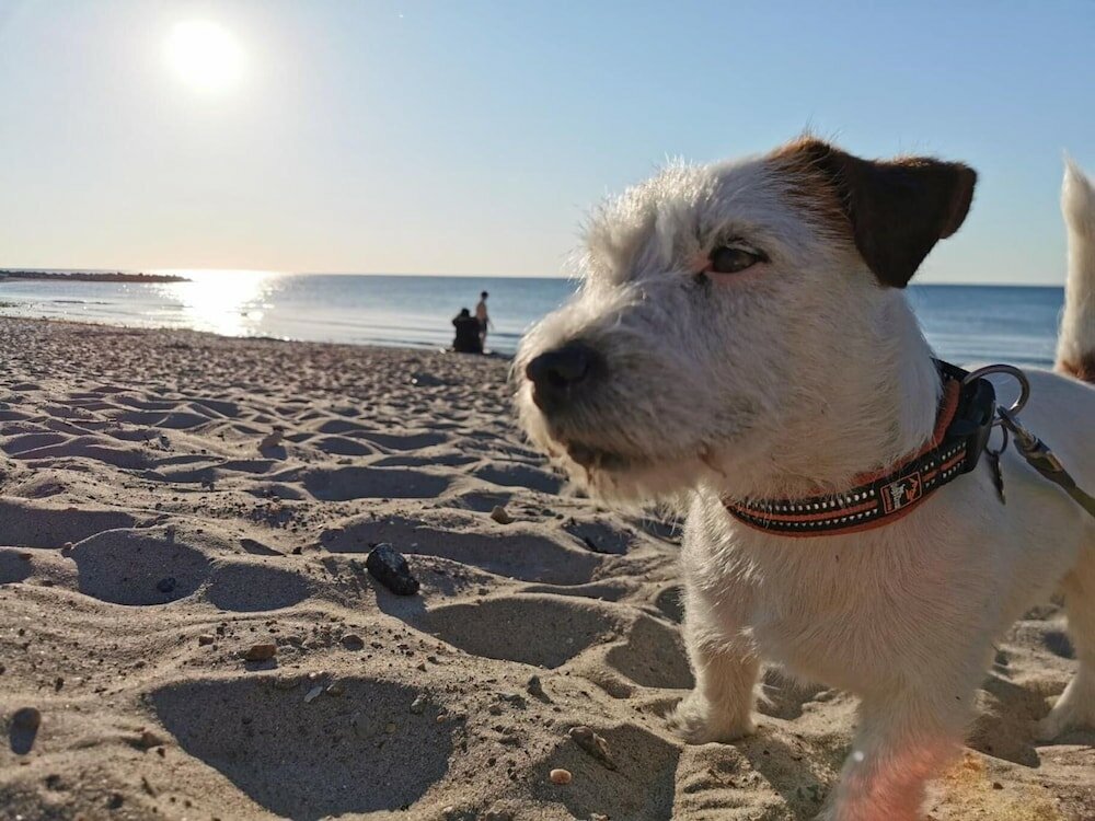 Фото Hostel & Camping Frederiksværk City