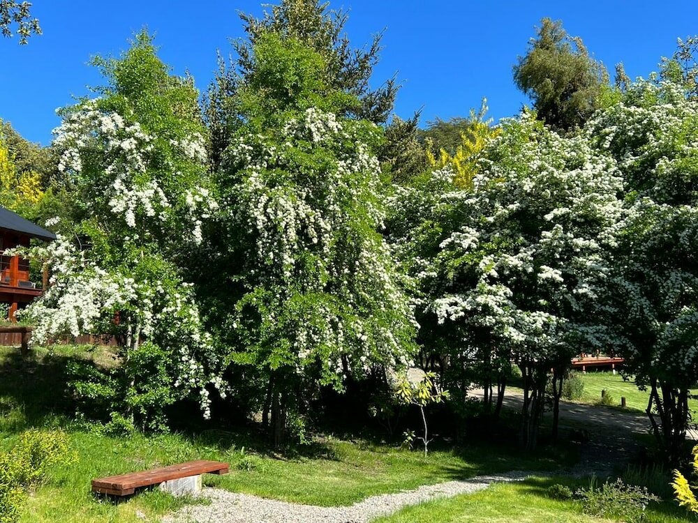 Фото Solar Selvana - Casas de montaña