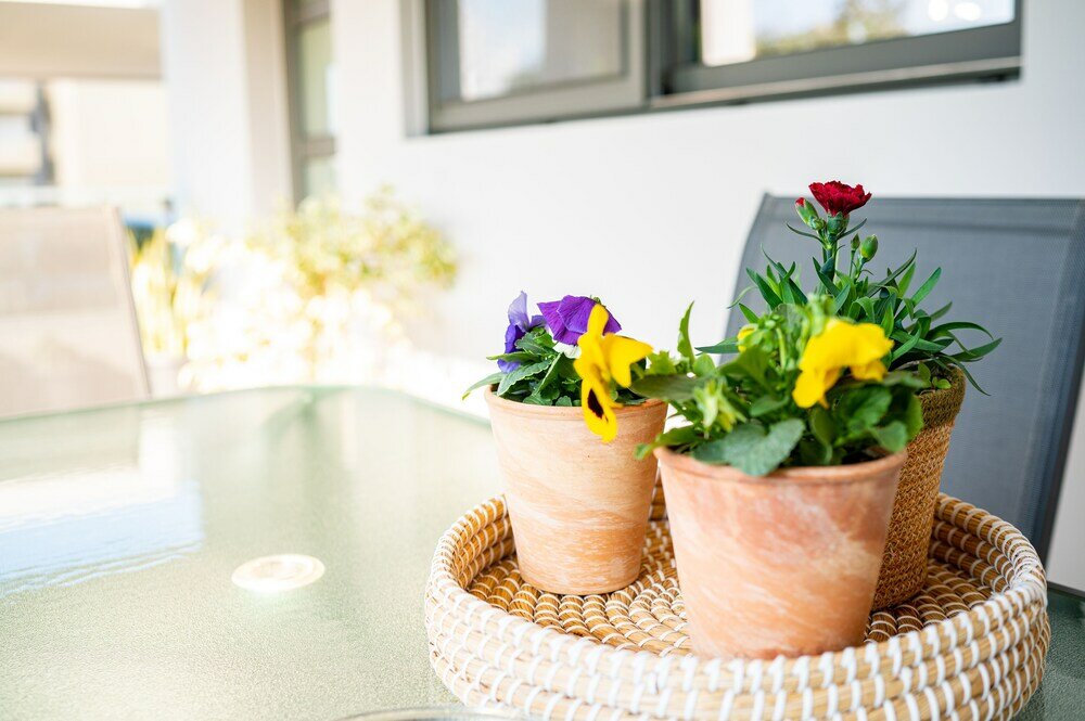 Фото Lilium Apartment