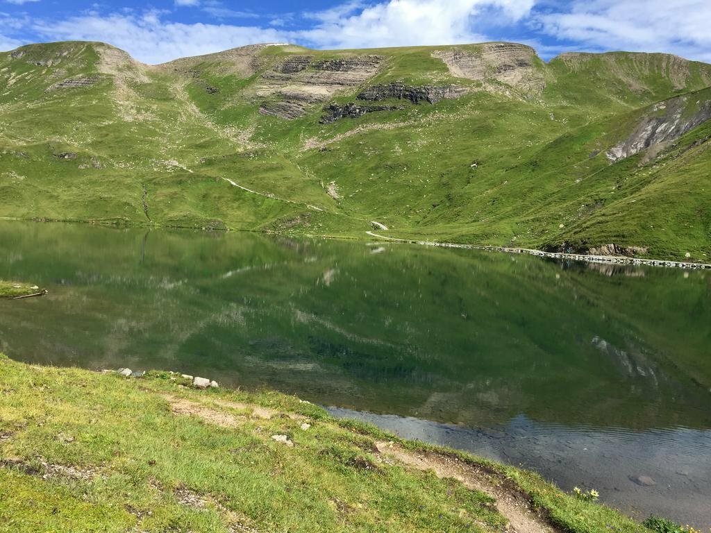 Hotel Steinbock Hotel Grindelwald, Grindelwald, photo
