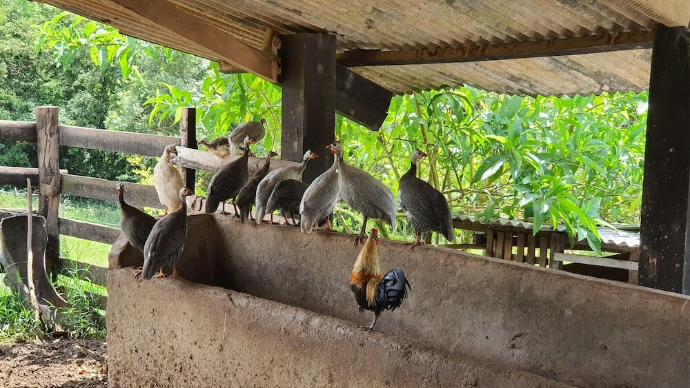 Фото Sítio Belucci