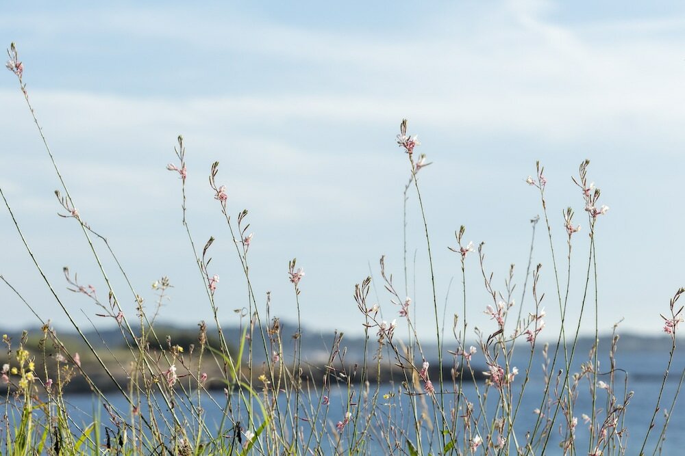 Фото Garden & City Six-Fours-les-Plages