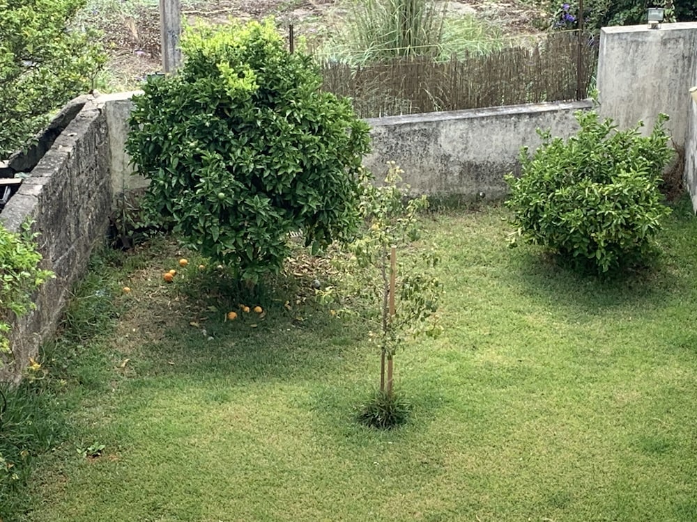 Фото Campanhã Boutique Station