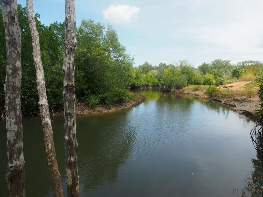 Фото Wagait Beach Holiday Houses
