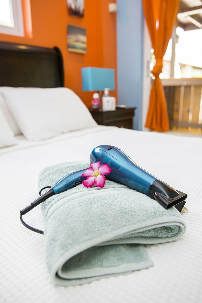 Фото Little Jungle Apartments Aruba