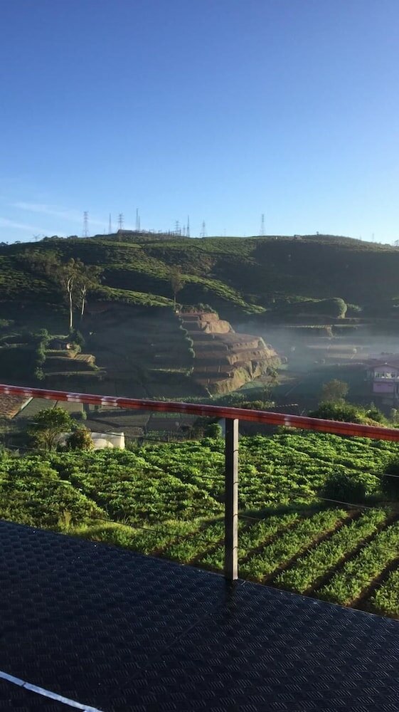 Фото The Cozy castle