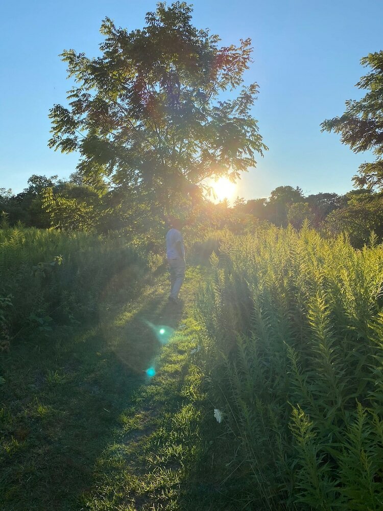 Фото Brand New Walk Out Bsmt Apt Near Beach