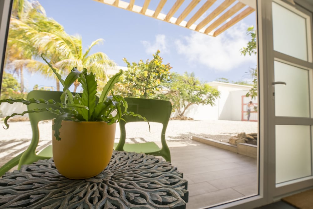 Фото Boca Catalina Modern Villa