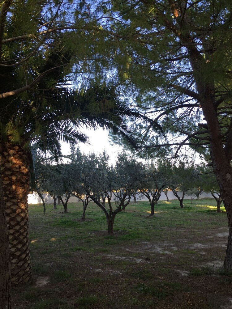 Фото Phoenix Beachside Condos