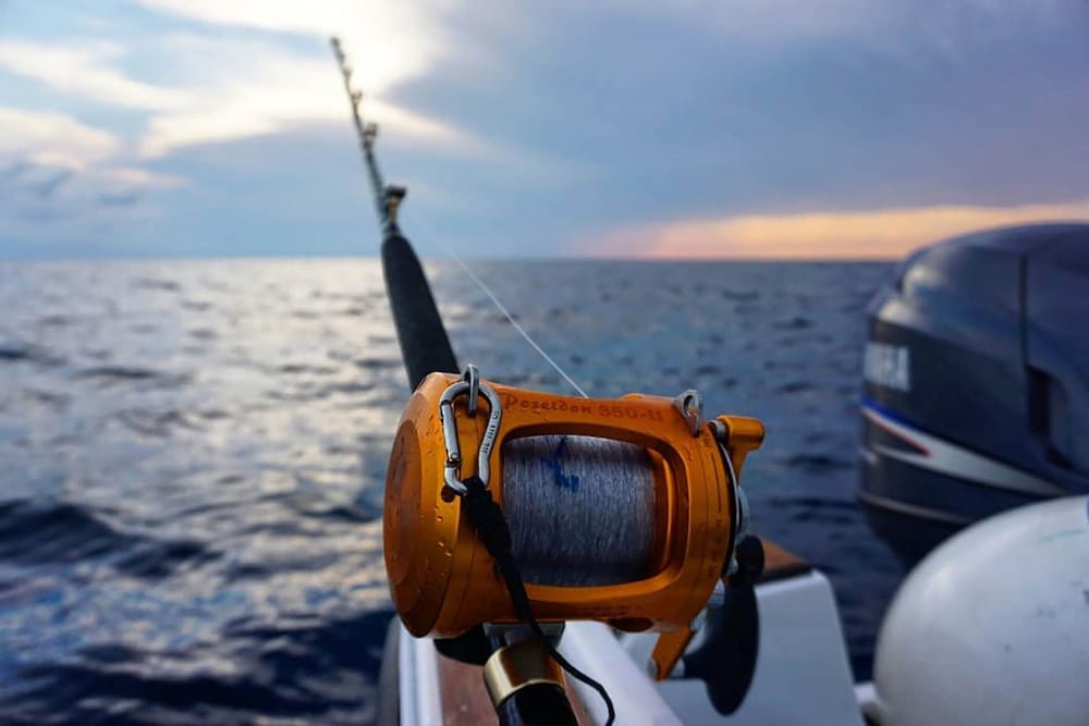 Фото Willa Trojka