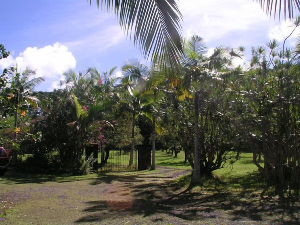 Фото Lava Tree Tropic Inn