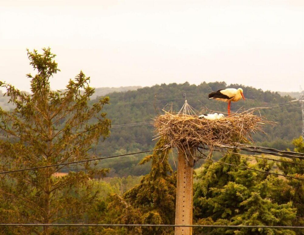 Фото Hostal La Llave