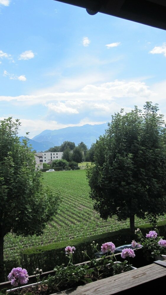 Фото Hotel Schatzmann